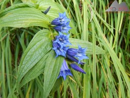 Sommerurlaub 2015 1006